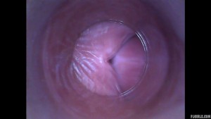 Kira - kinky selfie (endoscope pussy cam video)